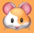 WWW,355se·COM网站APPAPP应用