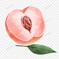 WWW,nnn89·COM网站APP